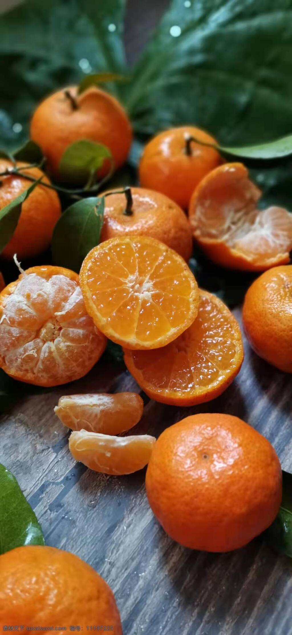 砂糖橘 桔子 橘子图片 砂糖桔 橘子 新鲜水果 当季水果 应季水果 小桔子 甜桔子 生物世界 水果