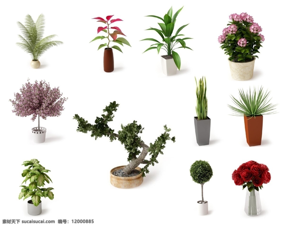 抠好的盆栽 装饰花 盆栽 景区绿化 花瓶 器皿 瓷器 广告素材