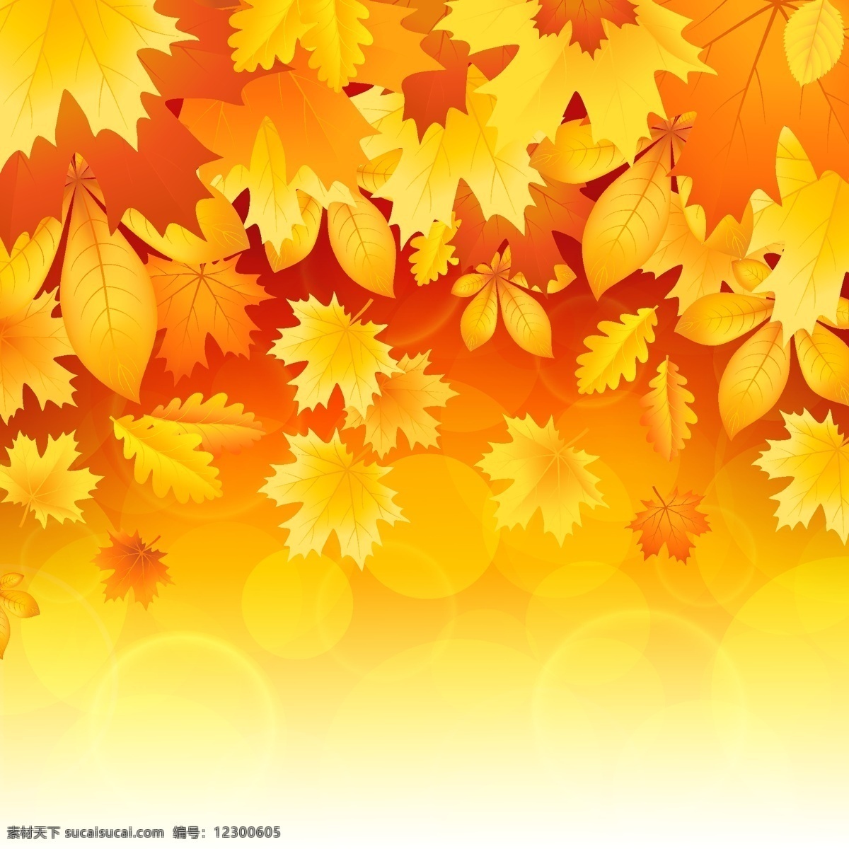 美丽 秋天 树叶 矢量 秋天的落叶 矢量植物 离开 psd秋天 矢量图 其他矢量图