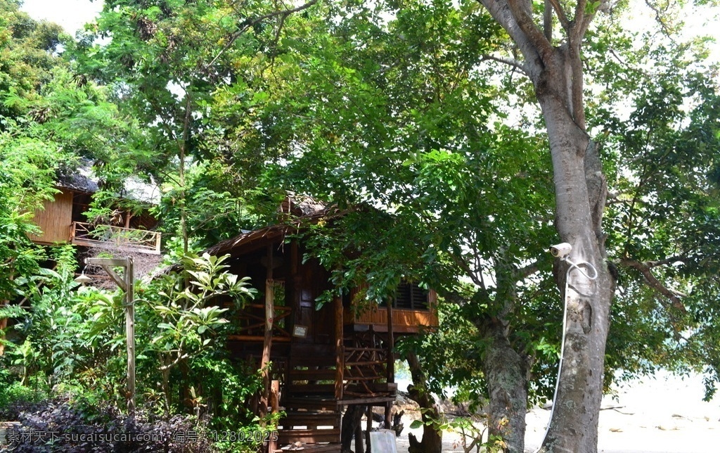 皮皮岛 普吉 旅游景点 小木屋 丛林 热带岛屿 绿植 旅馆 宾馆 泰国游 旅游摄影 国外旅游