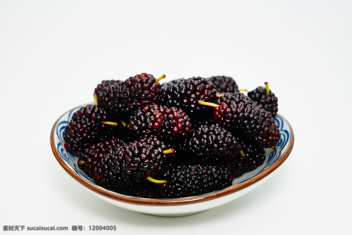 桑葚 水果 新鲜 背景 海报 素材图片 食物 中药 类 餐饮美食