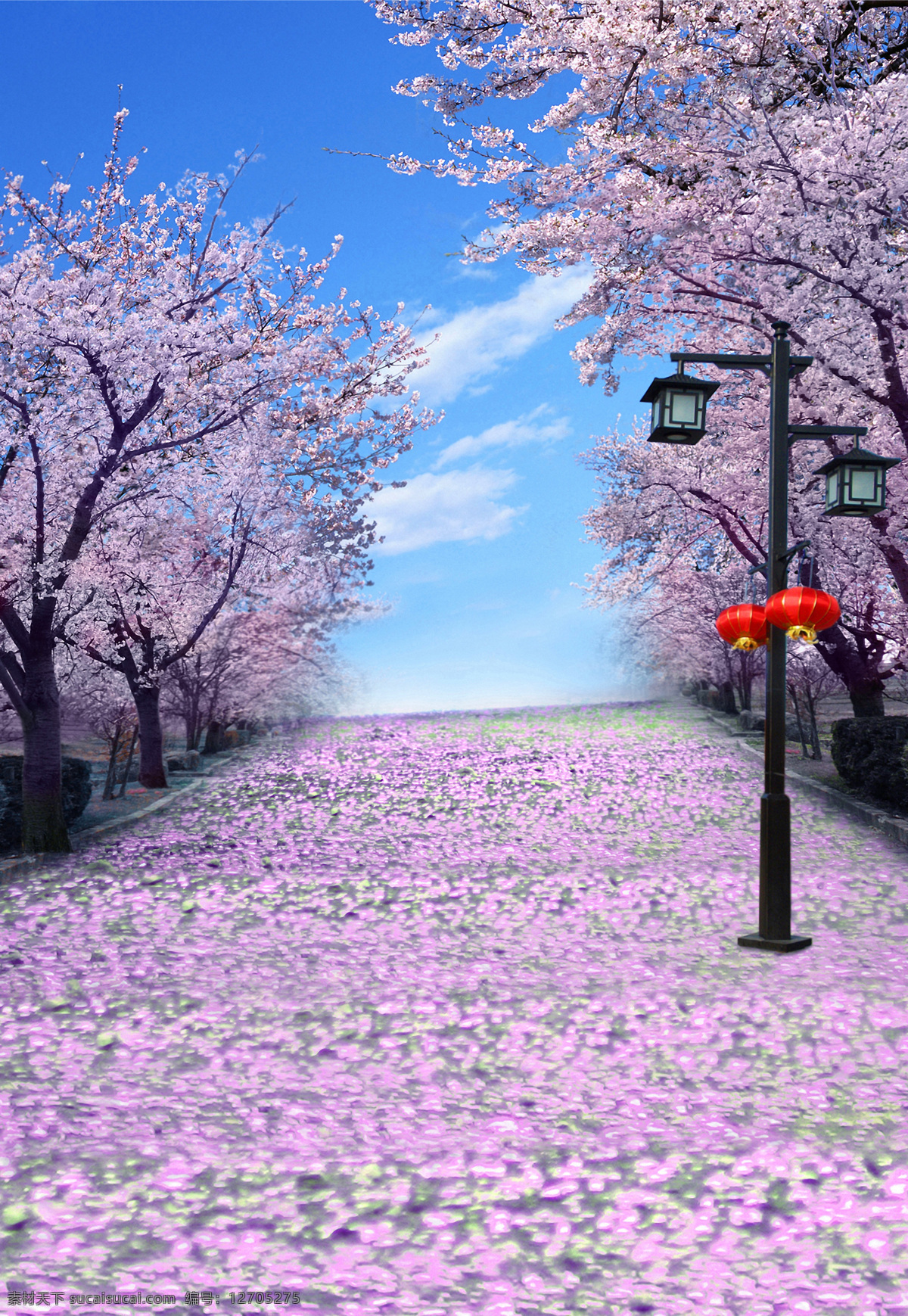 影楼背景模板 中国风 樱花树 古典 灯笼 红色 樱花道路