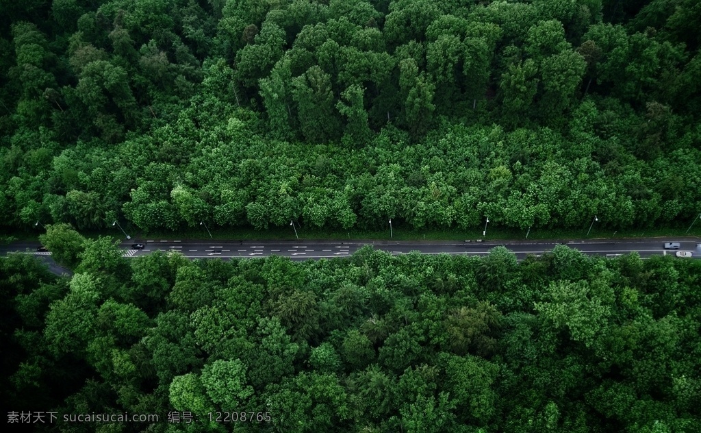 道路 绿色 清新 俯视 鸟瞰 背景 背景素材