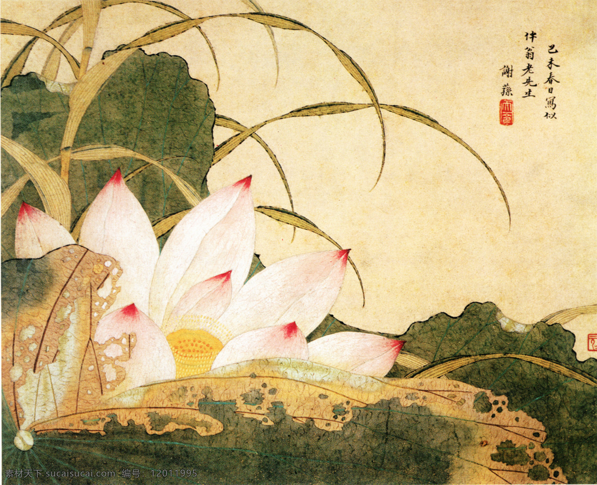 植物免费下载 白鹤 荷花 牡丹花 喜鹊 植物 中国风 中华艺术绘画 文化艺术