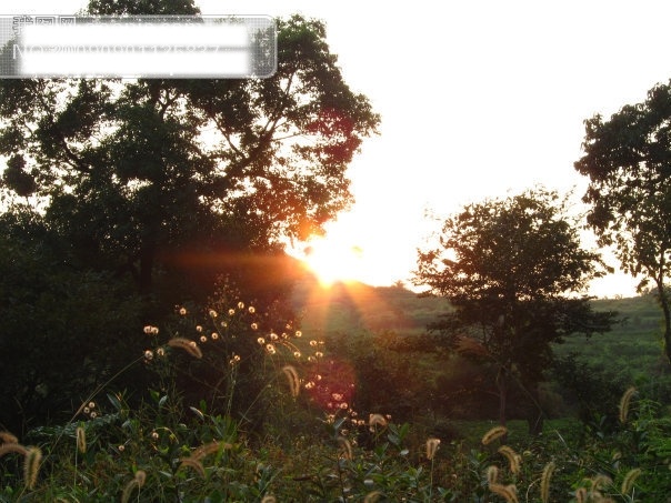 夕阳免费下载 草 杭州 花 旅游摄影 绿色植物 摄影图 树 夕阳 烟 富阳 黄公望风景 杭州旅游 风景图片 风景 生活 旅游餐饮