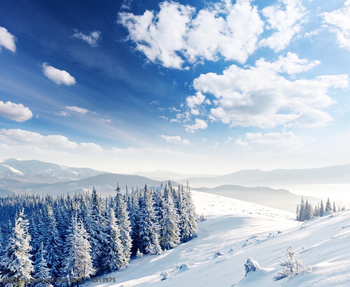 蓝天 白云 树林 雪地 冰天雪地 美丽雪景 冬天风景 树木 道路 雪景 美景 雪景图片 风景图片