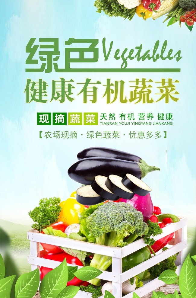 青菜 有机蔬菜 蔬菜大图 蔬菜店 菠菜 油菜 排骨 肋排 冷鲜肉 蔬菜大全 各种蔬菜