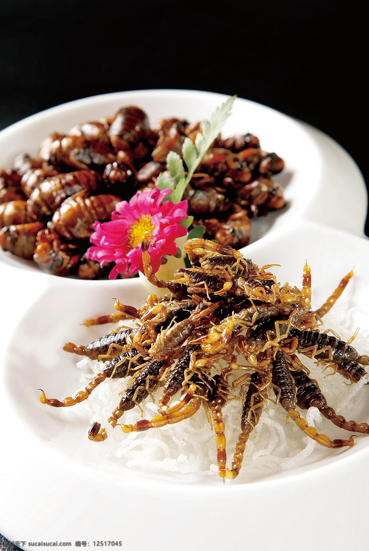金蝉山蝎 美食 传统美食 餐饮美食 高清菜谱用图