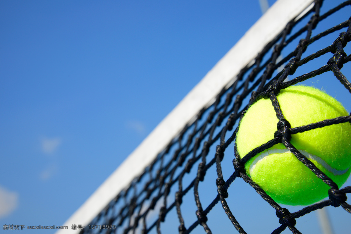 网球 运动 项目 网球运动 网球比赛 体育运动 生活百科
