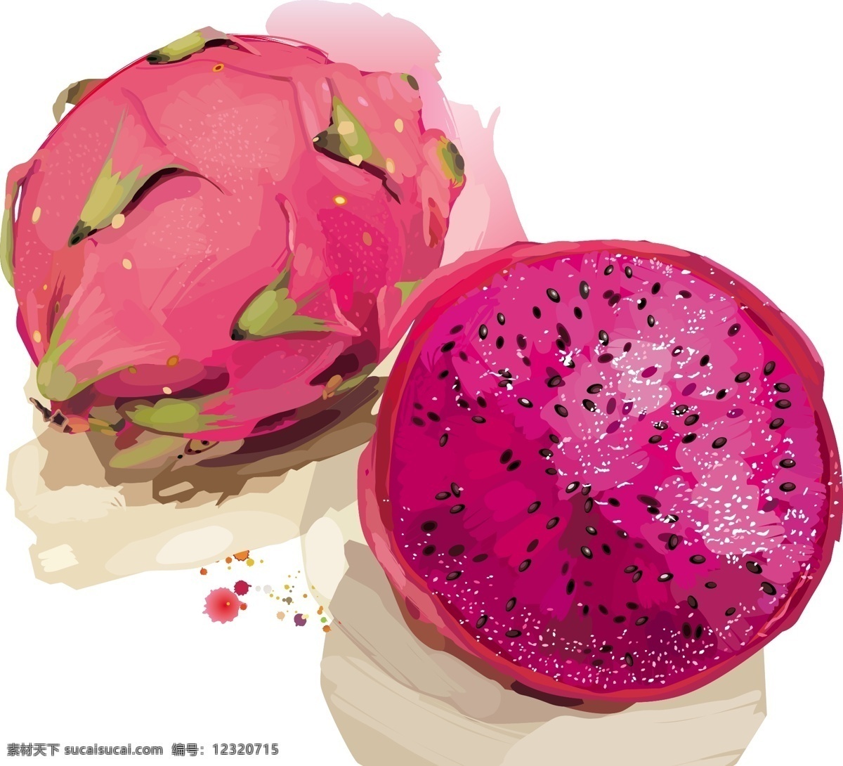 火龙果 热带水果 生物世界 矢量水果 水果 水果素材 矢量 模板下载 矢量火龙果 日常生活
