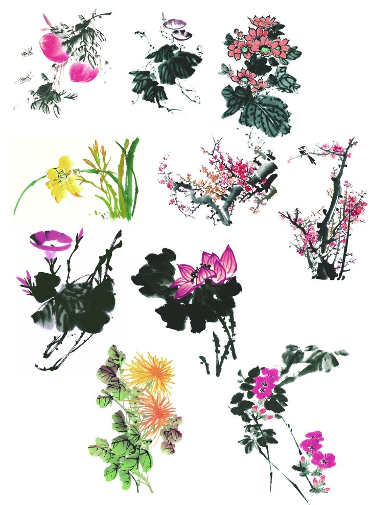 水墨花 水墨 国画 源文件 牵牛花 荷花 兰花 梅兰竹菊 向日葵 菊花 桃花 莲花 葡萄 石头 彩色水墨 分层