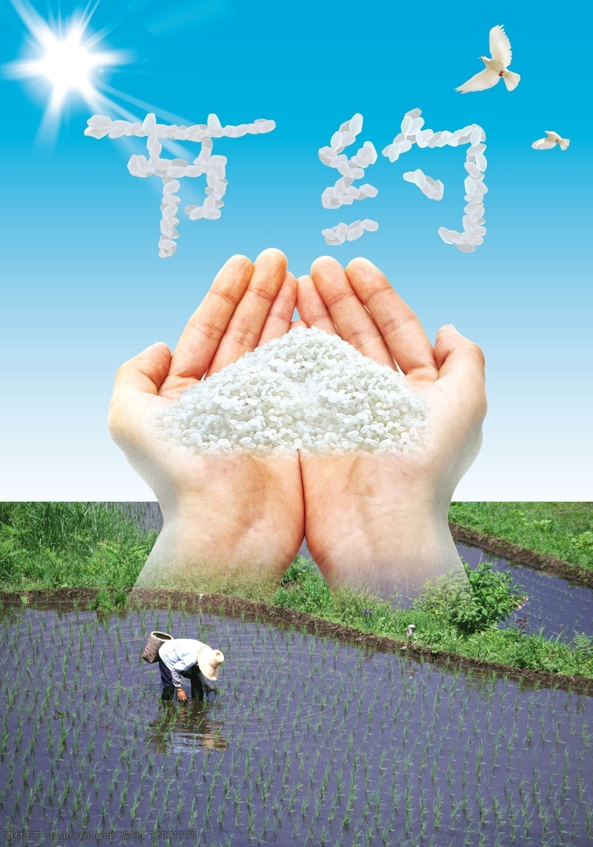 节约粮食 节约 粮食 公益 广告 节约公益广告 节约粮食海报 节约粮食展板 爱惜粮食 反对铺张浪费 食堂海报 食堂展板 大米 双手捧大米 插秧 蓝天 白云 阳光 白鸽 清新背景 农民 农民插秧 宣传画 文化展 板 节约海报 节约展板 公益广告 广告设计模板 源文件