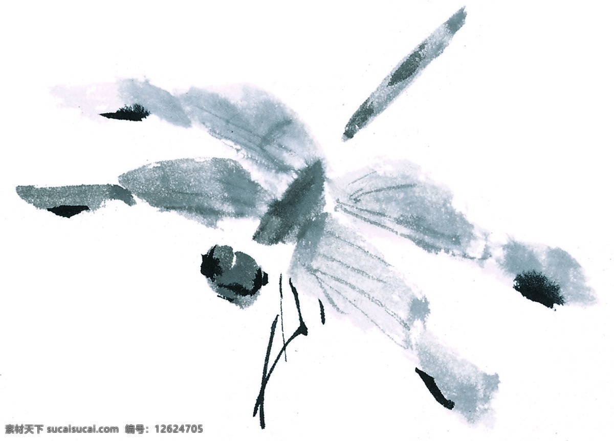 水墨 风格 蜻蜓 文化艺术 美术绘画 昆虫 设计图库