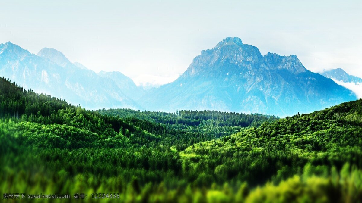 森林 山脉 自然 背景 绿色 白色