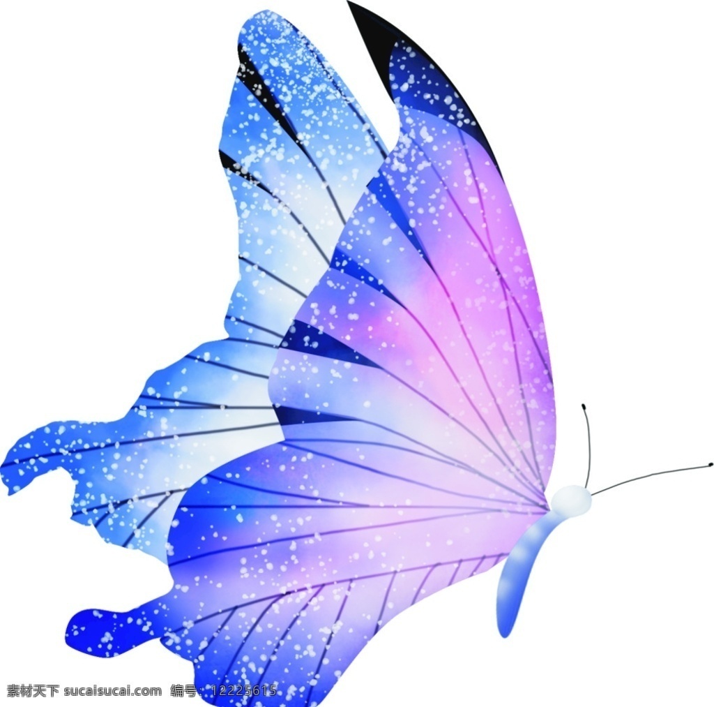 彩色 蝴蝶 唯美 高清 紫色 自然景观 自然风光