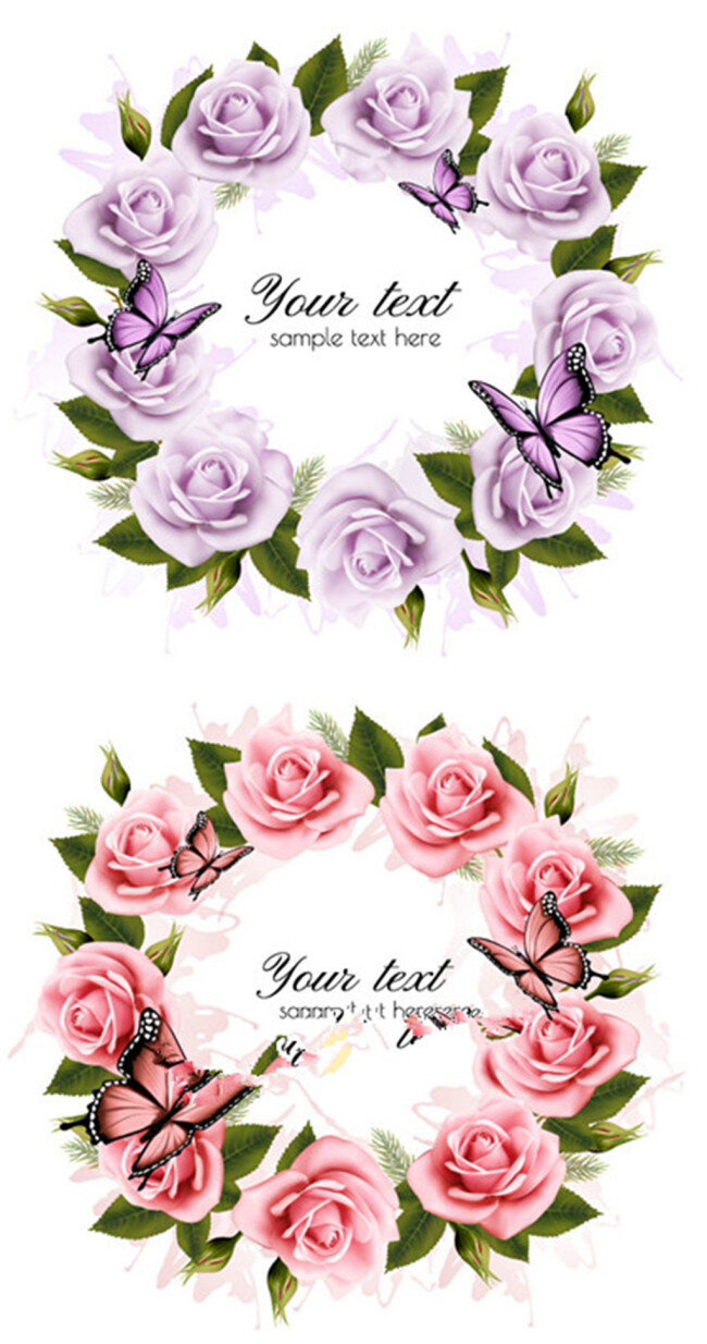 玫瑰花 边框 矢量 植物 花卉 矢量图.