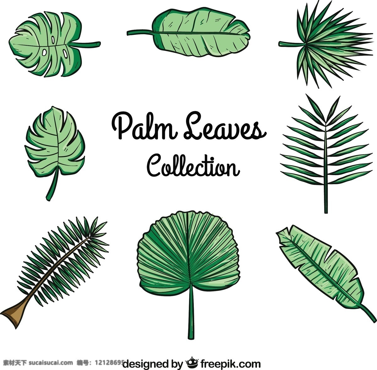 手包棕榈叶 树 一方面 夏天 叶 自然 手绘 热带 植物 绘画 棕榈树 环境 棕榈 画 棕榈叶 包 粗略 草图
