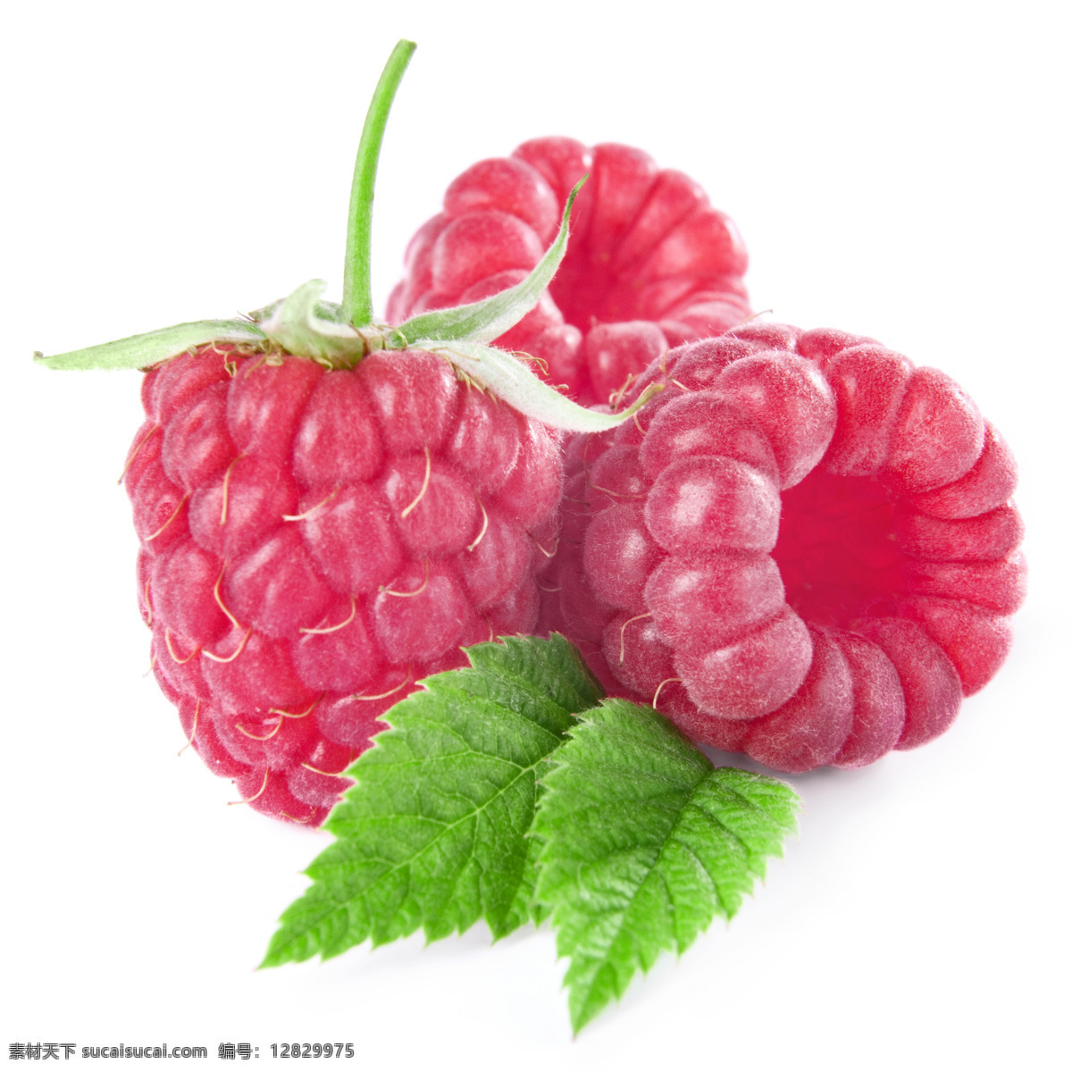 新鲜水果 野果 覆盆子 草莓 水果蔬菜 餐饮美食 白色
