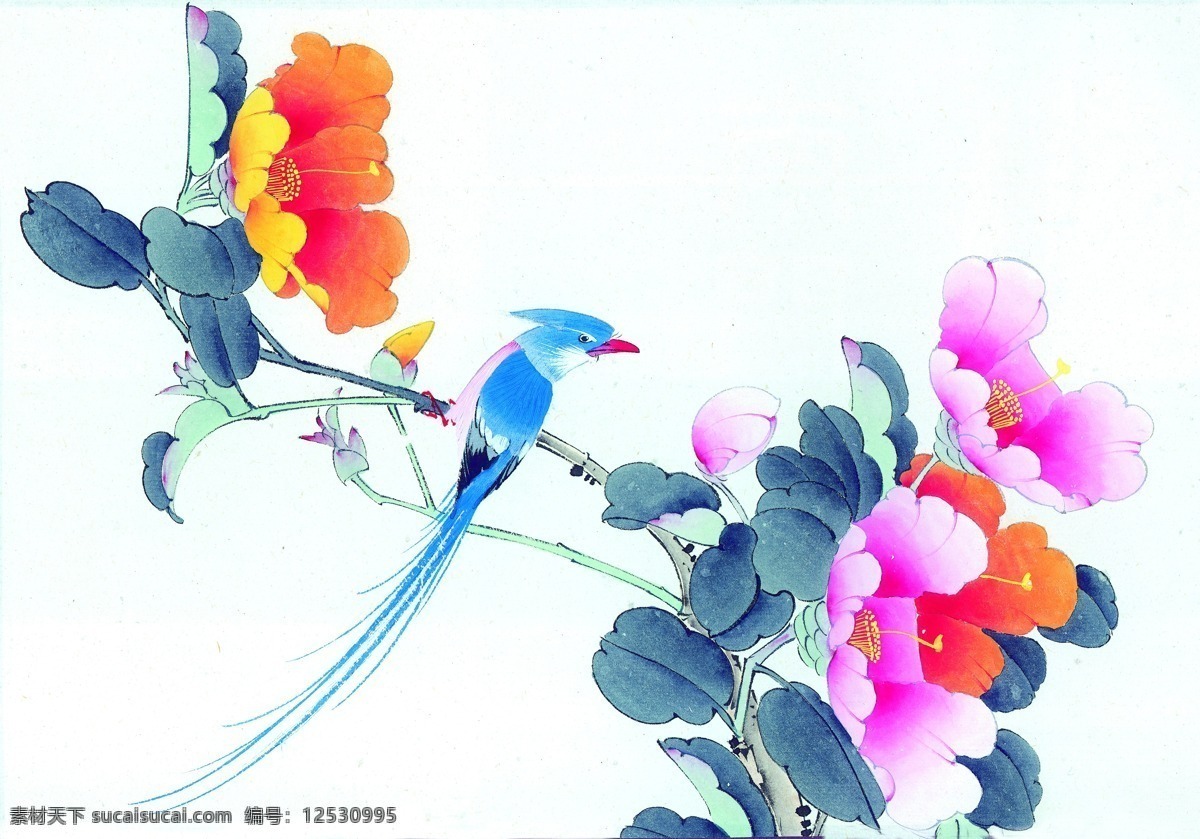 花鸟国画 文化艺术 美术绘画 设计图库