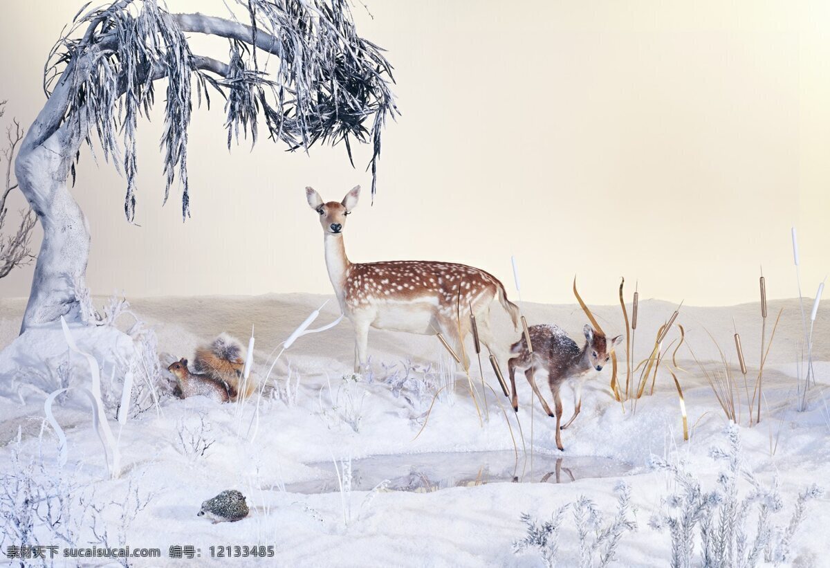 冬季 大雪 麋鹿 觅食 背景 唯美 油画 阳光 冬日暖阳 野外 保护动物 广告背景