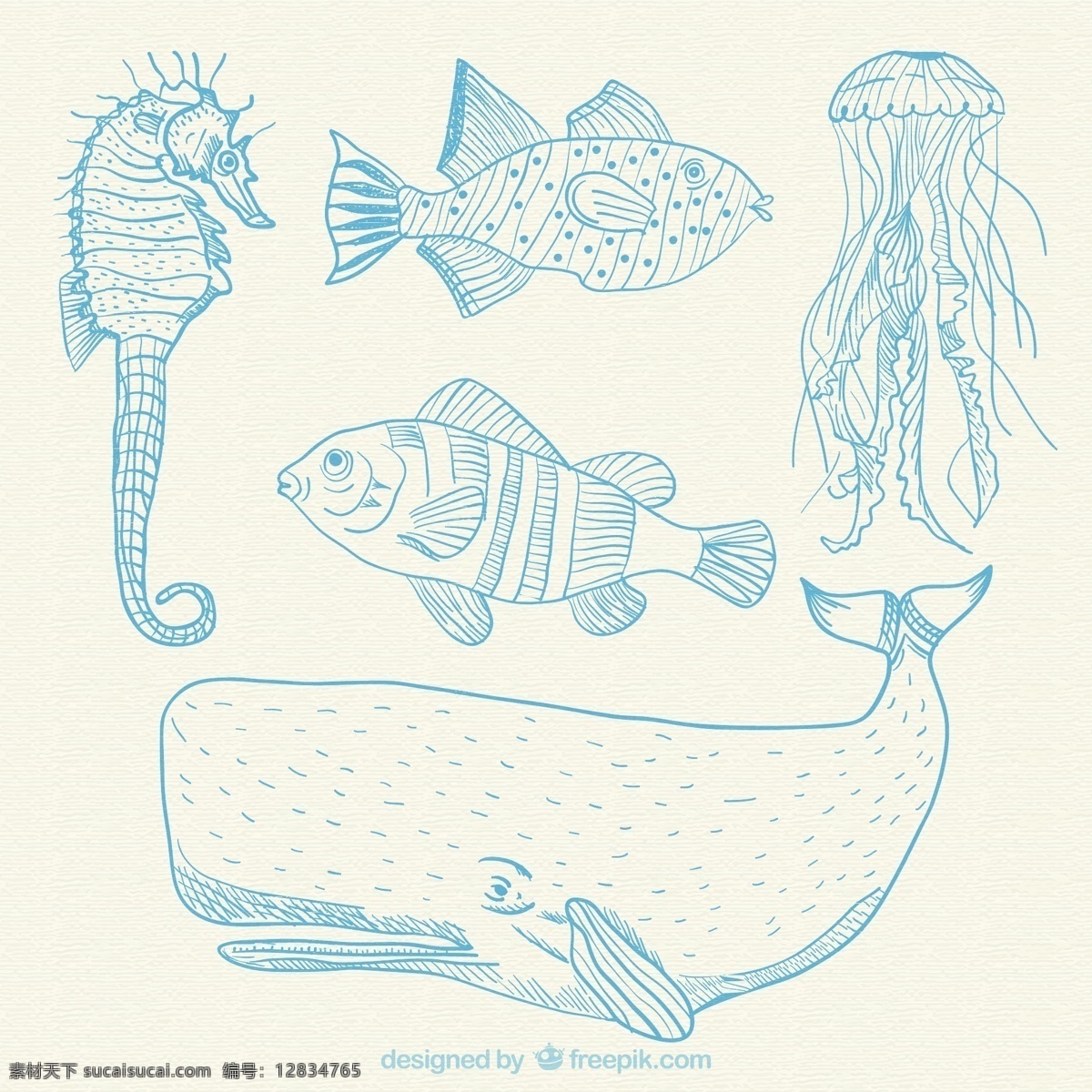 手绘海洋动物 一方面 鱼 自然 海洋 动物 蓝 手绘 绘画 鲸鱼 手工绘图 绘制 海马 水母 粗略 白色