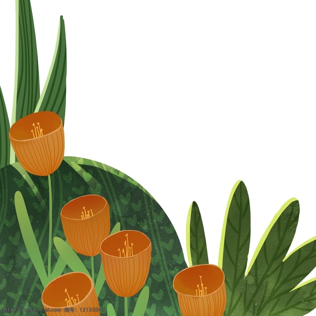 绿色植物 草丛 装饰 植物 花朵 绘画 插画元素 设计元素 卡通 彩色 简约 小清新 精致