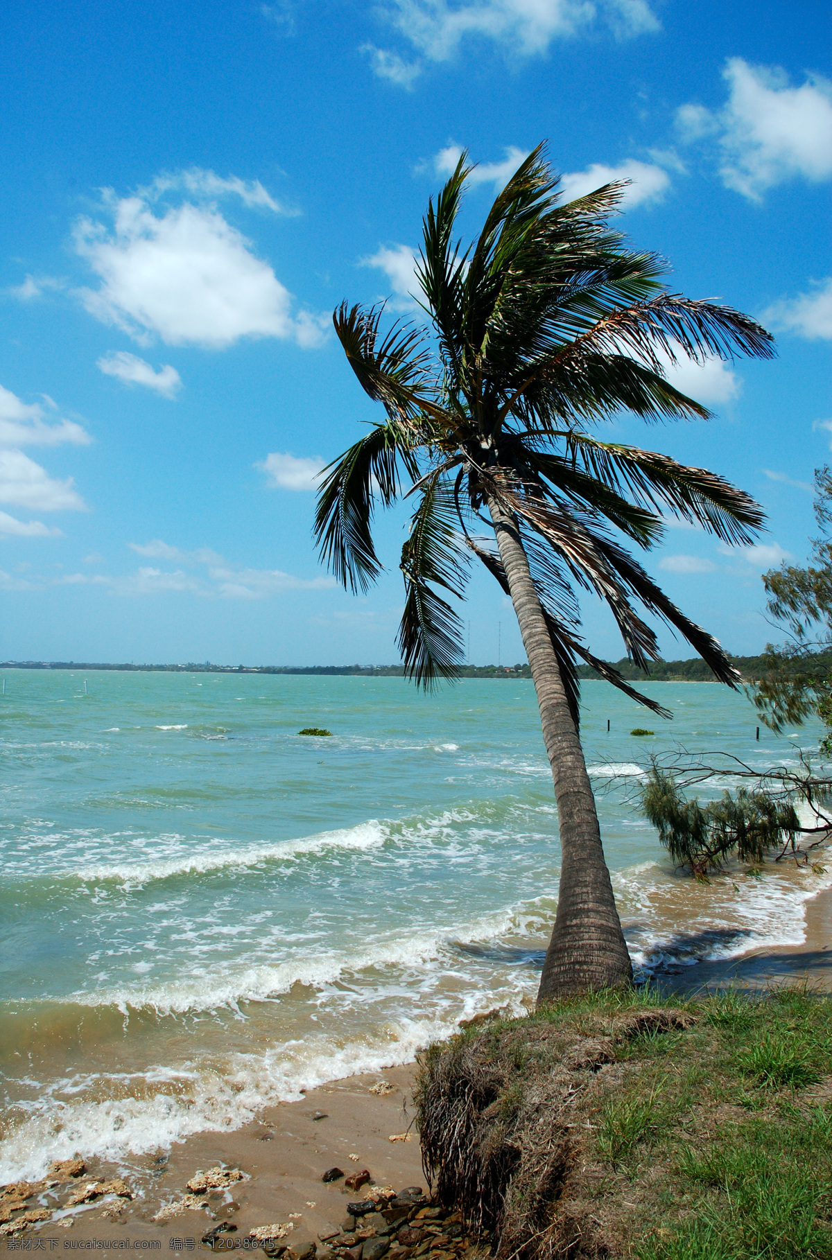 热带海边风光 热带 海边 海洋 大海 风景 风光 景色 景观 沙滩 海滩 美景 椰子树 海水 风光方面素材 自然风景 自然景观