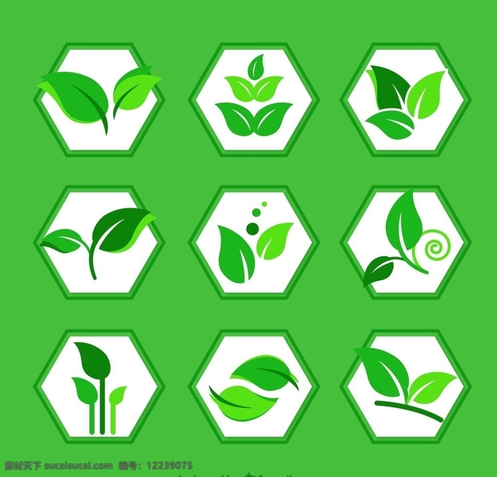 绿叶 图标 矢量 植物 树叶 叶子 六边形 矢量图 绿叶标志 logo设计