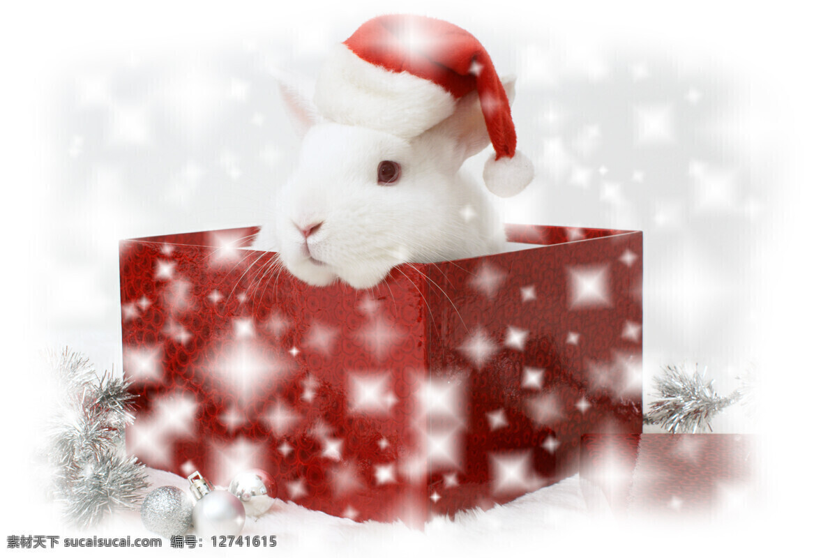 圣诞兔 兔子 小兔子 白兔子 圣诞节 圣诞 圣诞节素材 圣诞帽 彩球 兔年素材 兔兔 可爱 宠物 可爱的兔子 兔年生肖素材 家禽家畜 项链 动物 兔子图片 兔子摄影 节日庆祝 文化艺术