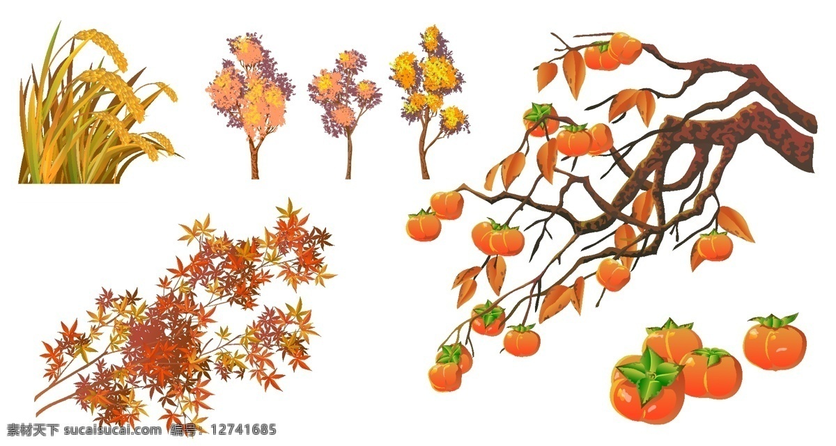 植物素材 树 树叶 园林素材 绿化素材 矢量素材 树木树叶 生物世界 矢量