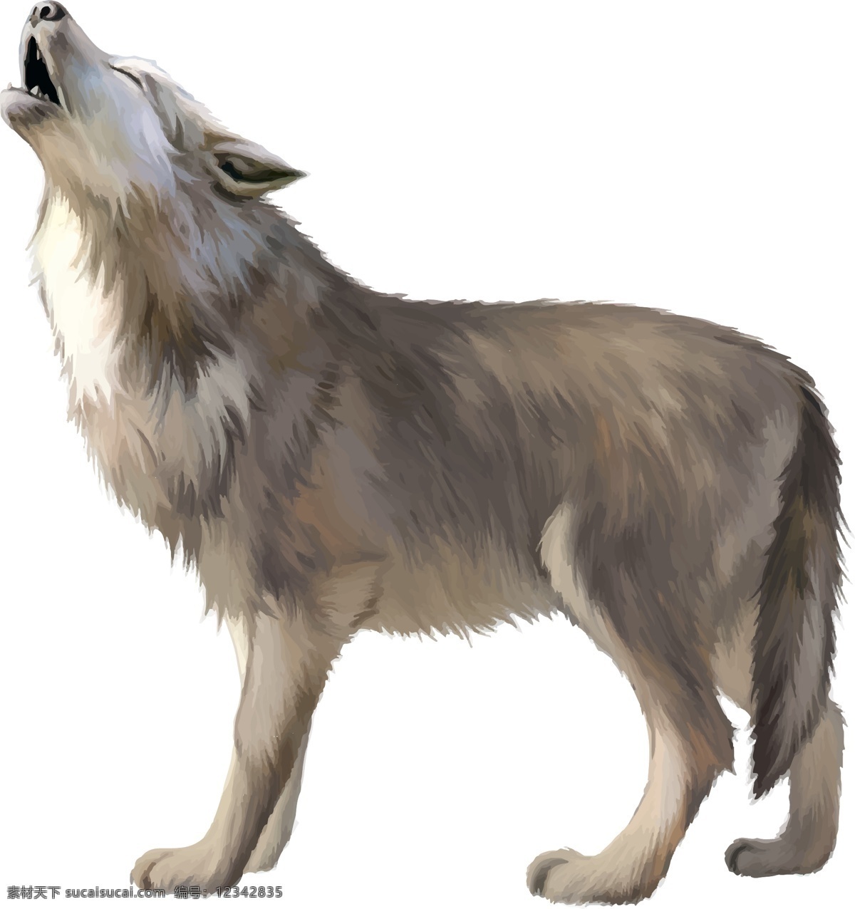 卡通狼 动物世界 野生动物 动物摄影 陆地动物 生物世界 卡通动物 矢量素材 白色