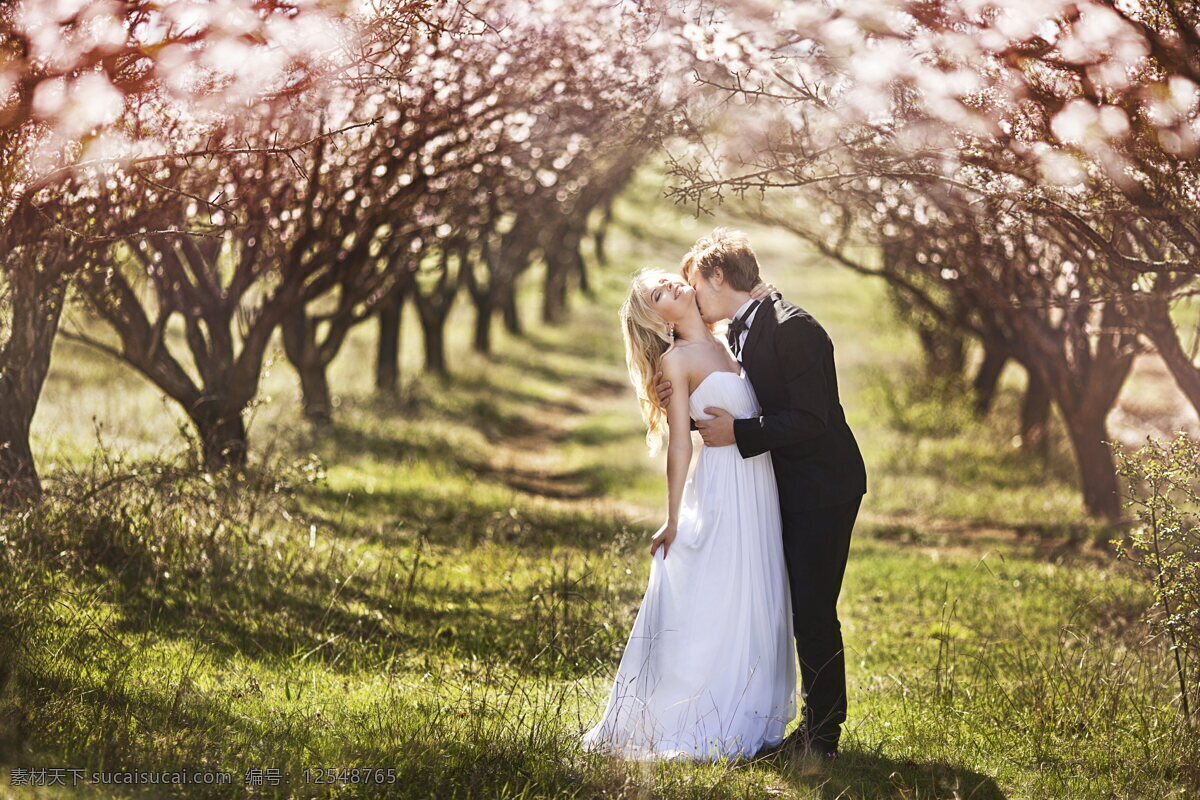 森系婚纱摄影 森系 婚纱摄影 树木 树林 樱花树 粉色花朵