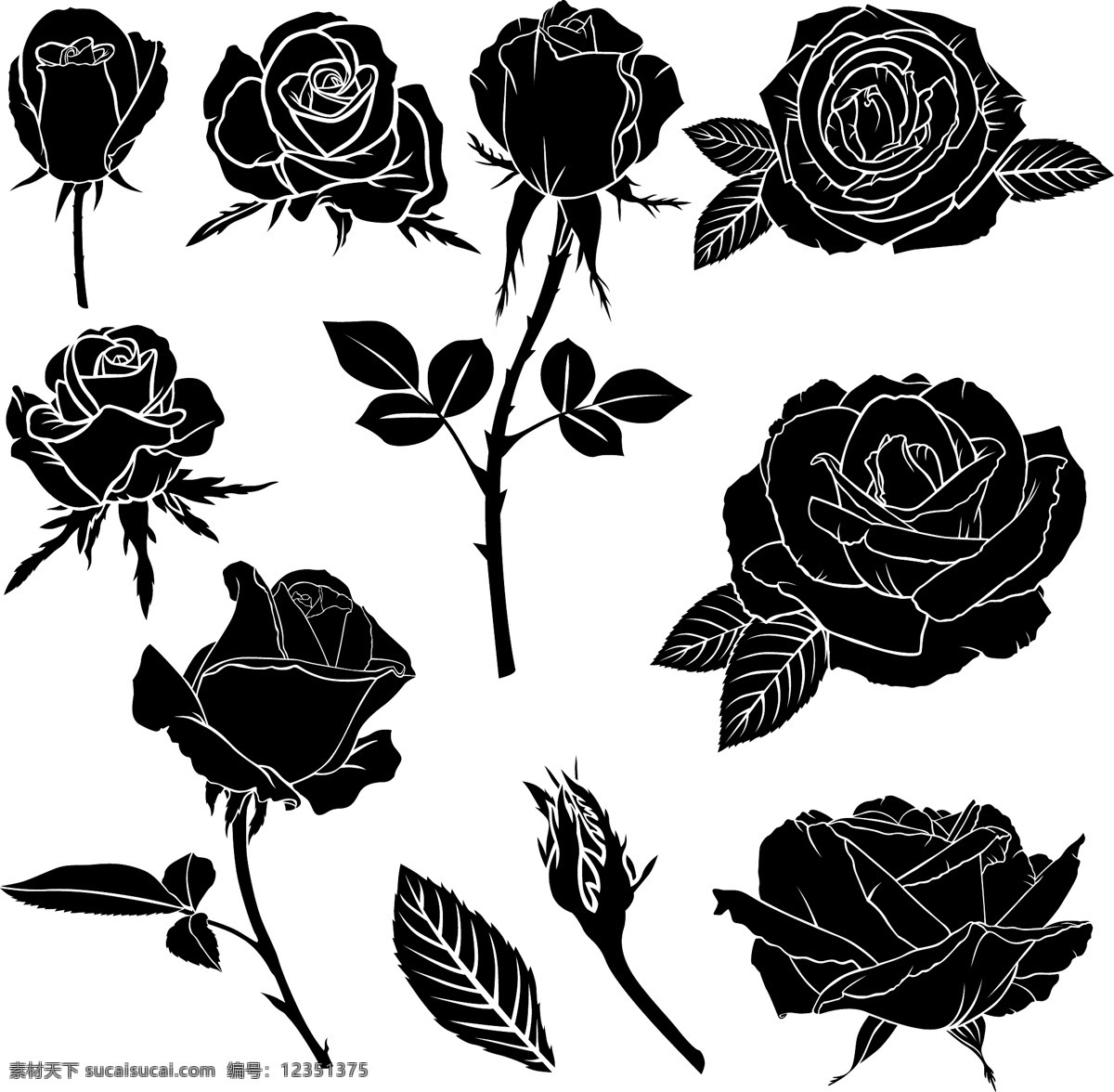 黑白 线条 剪影 玫瑰花 图案 叶子 玫瑰 请柬 底纹边框 花边花纹