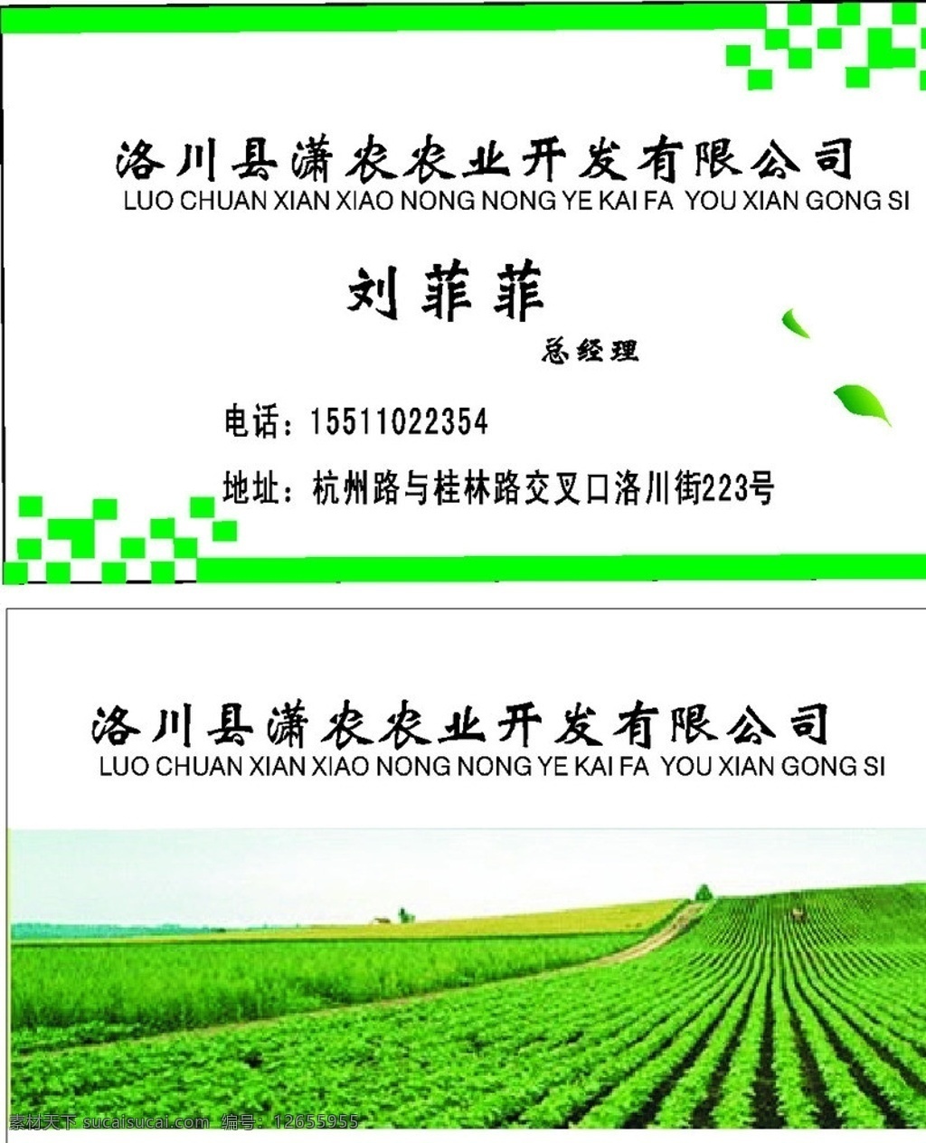 农业名片 农业 绿色 名片 开发 公司 名片卡片 矢量