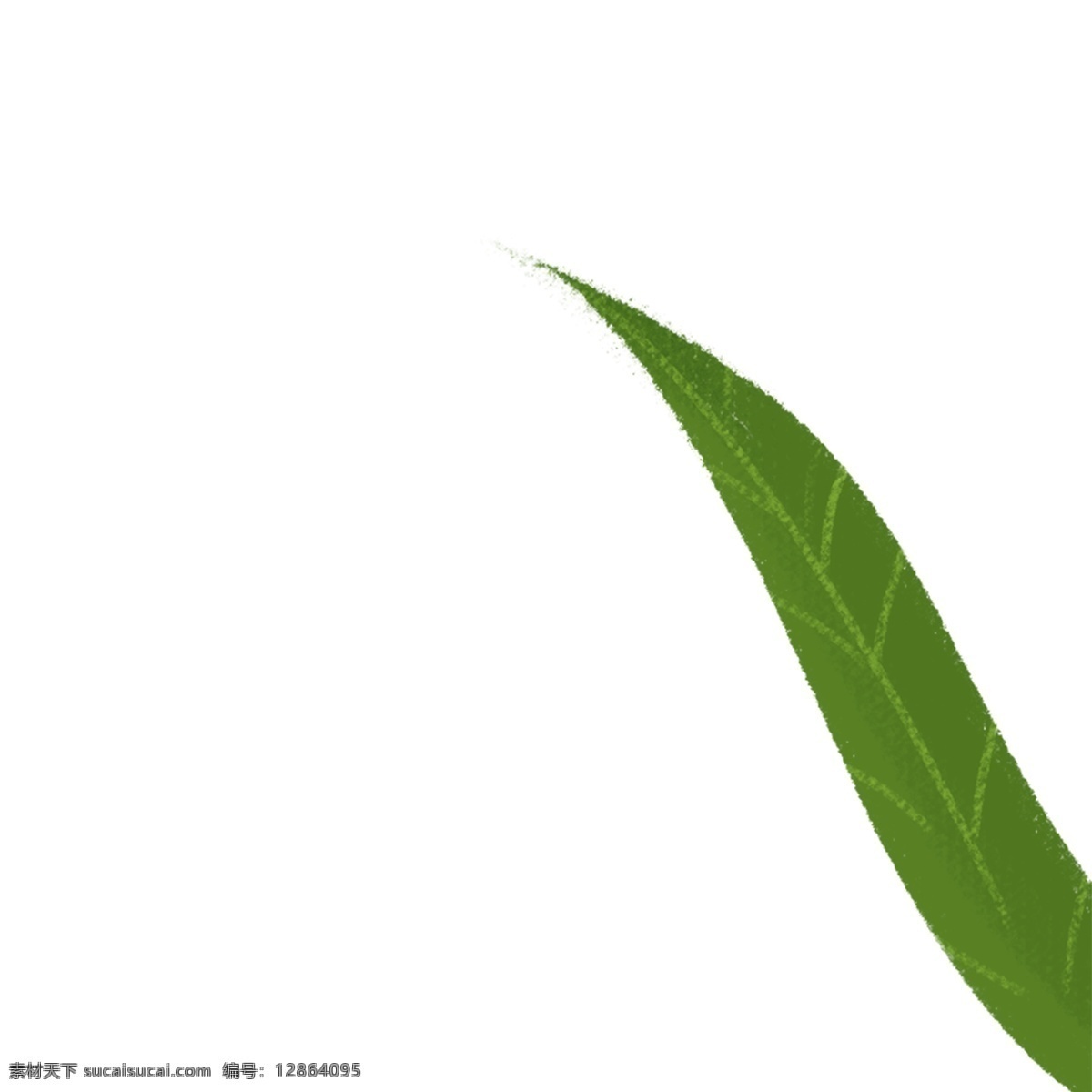 绿色 叶子 免 抠 图 时尚植物 绿色植物 绿色生态 新鲜的枝条 时尚叶子 植物 生态 绿色的枝叶 免抠图