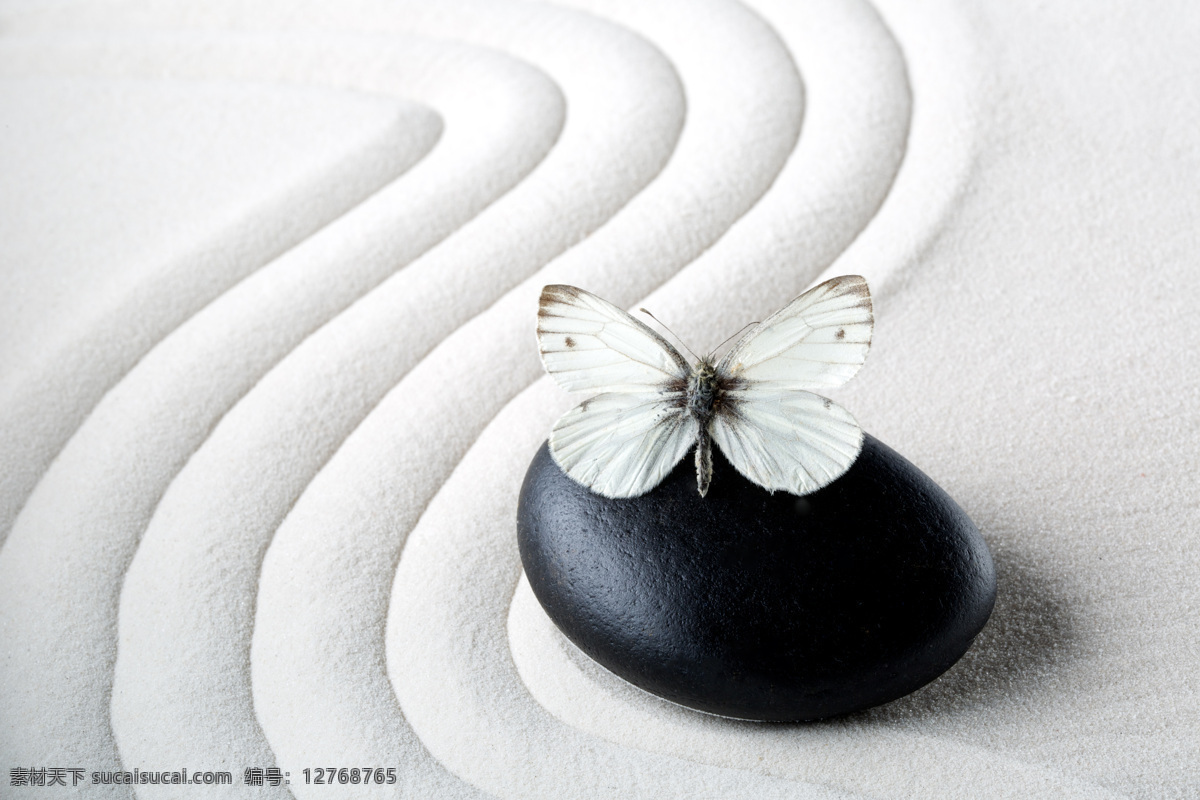 白色 沙 纹 黑色 鹅卵石 蝴蝶 spa 沙滩 沙石 沙子 沙粒 沙纹 石头 按摩石 其他风光 风景图片
