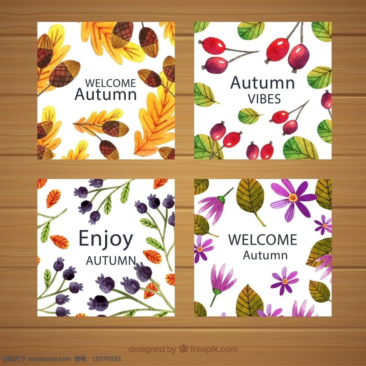 秋季 花草 卡片 落叶 橡子 浆果 木板 彩色 矢量 高清图片