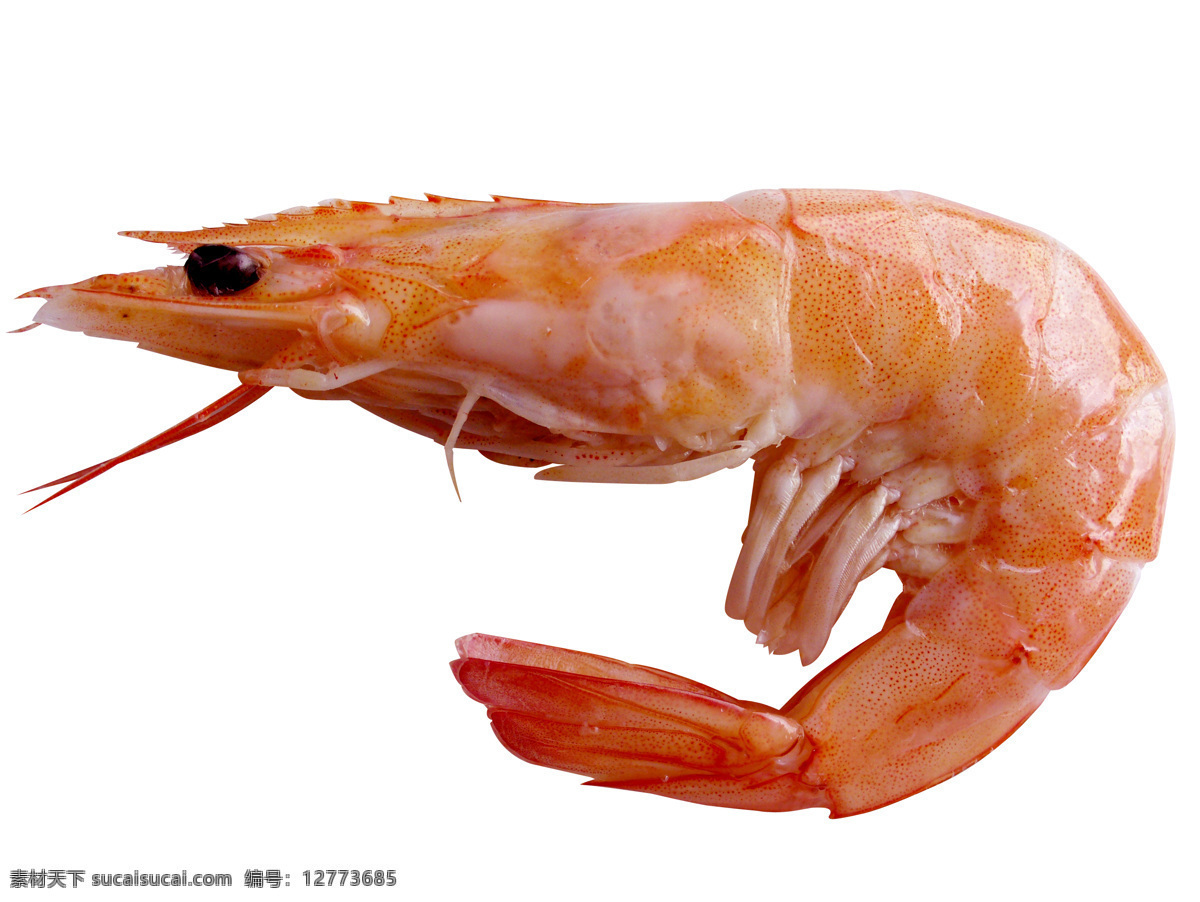 明虾 虾 prawn 新鲜 食物原料 餐饮美食 对虾 斑节虾 海鲜