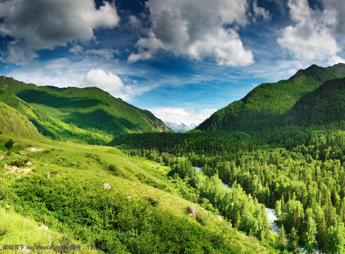片 绿 树林 蓝天 白云 树 草 绿草 高山 自然景观 山水风景 风景图片