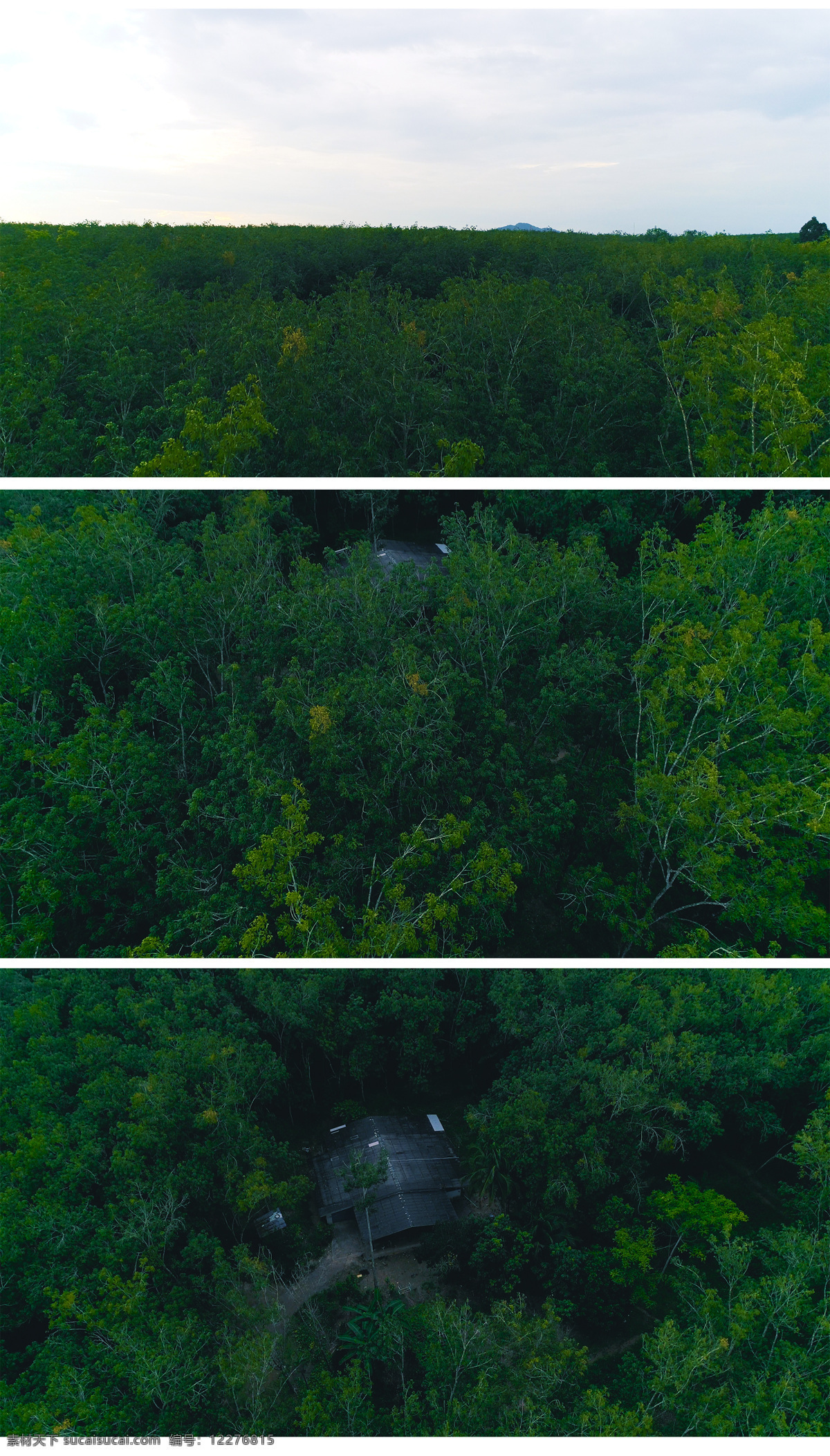 航拍 树林 泰国 森林 景色 房子 实拍 视频