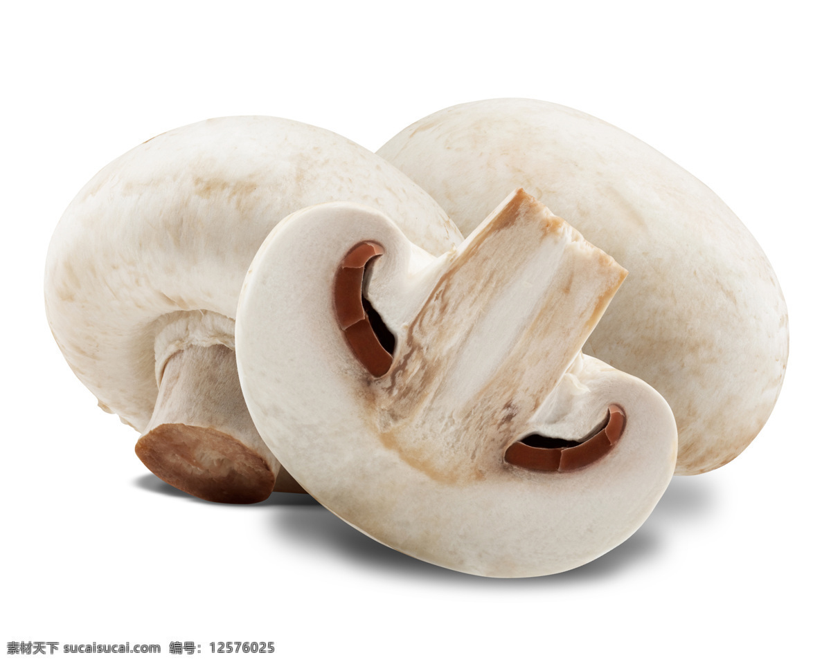 三个 磨 菇 磨菇 香菇 真菌类 食物原料 食材原料 餐饮美食 美食摄影