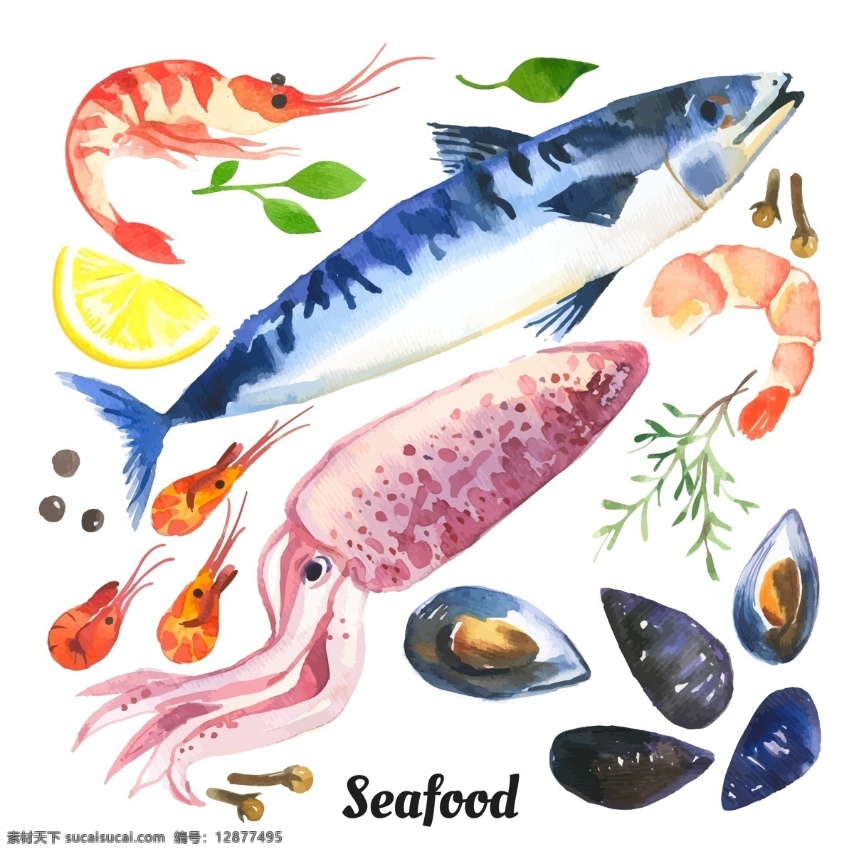 水彩 绘 海鲜 食 材 插画 龙虾 扇贝 食材 手绘 水彩绘 鱿鱼 鱼类