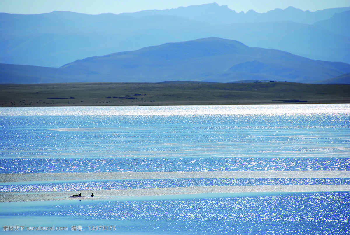 尕海湖 甘南藏族自治州 湖水 蓝色 湖 蓝色的湖面 淡水湖 花草 生物世界