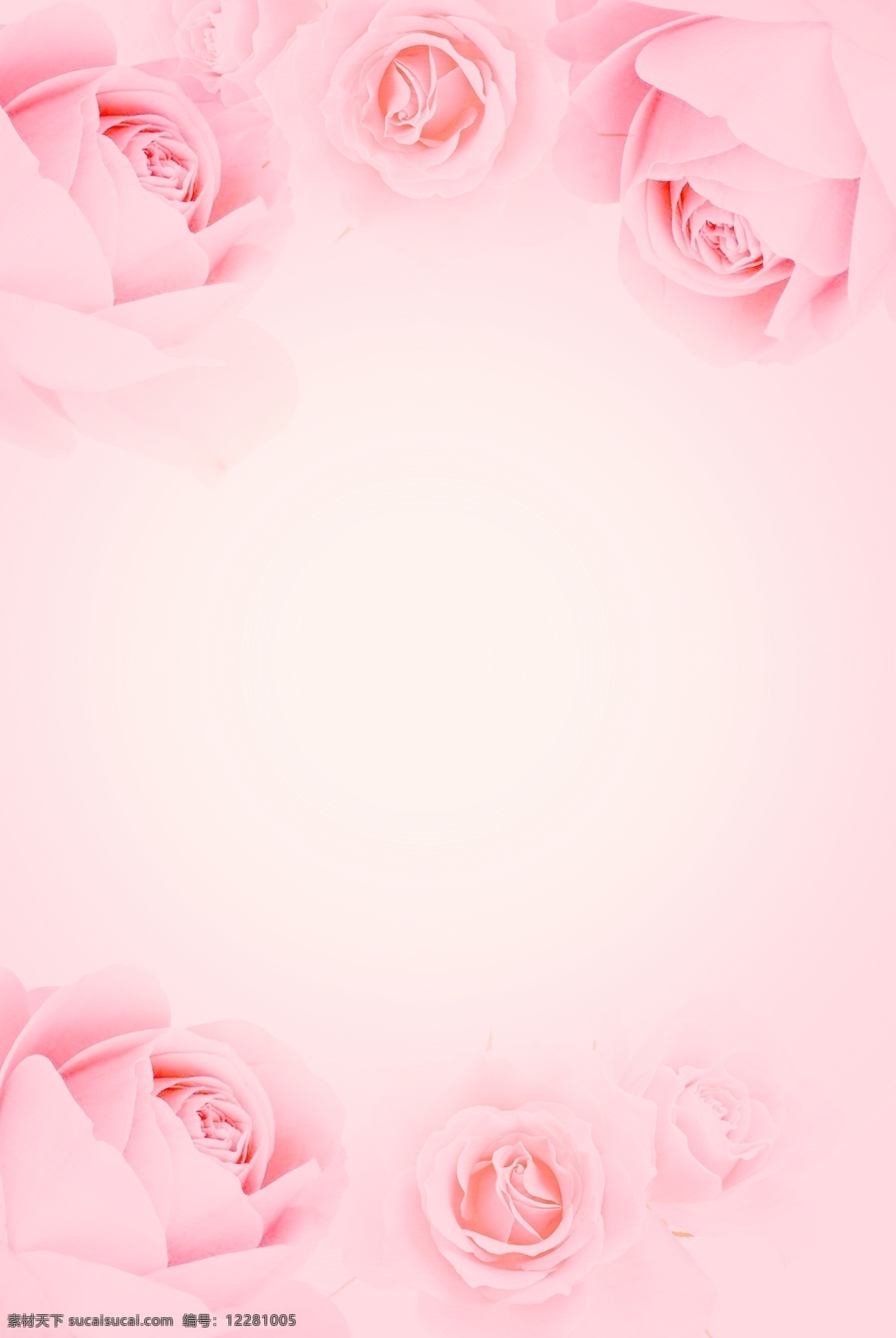 粉色 玫瑰花 七夕 情人节 浪漫 唯美 海报 时尚 七夕玫瑰