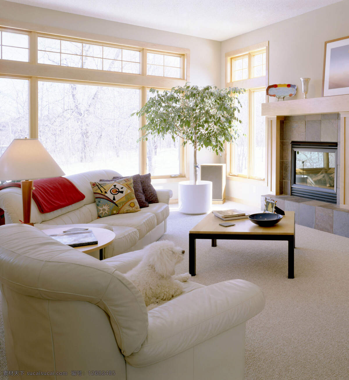 白色 干净 室内设计 室内装修 装修 地毯室内设计 白色客厅 家居装饰素材