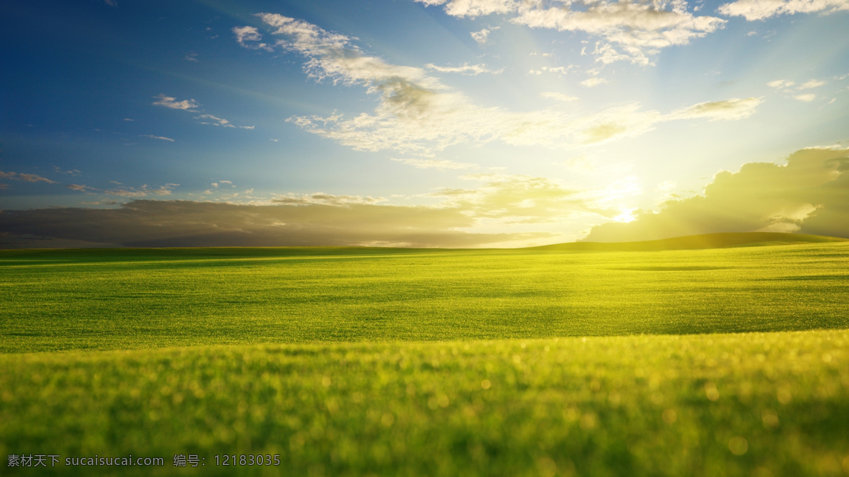 美丽 草原 图 蓝天 清晨 风景 黄色