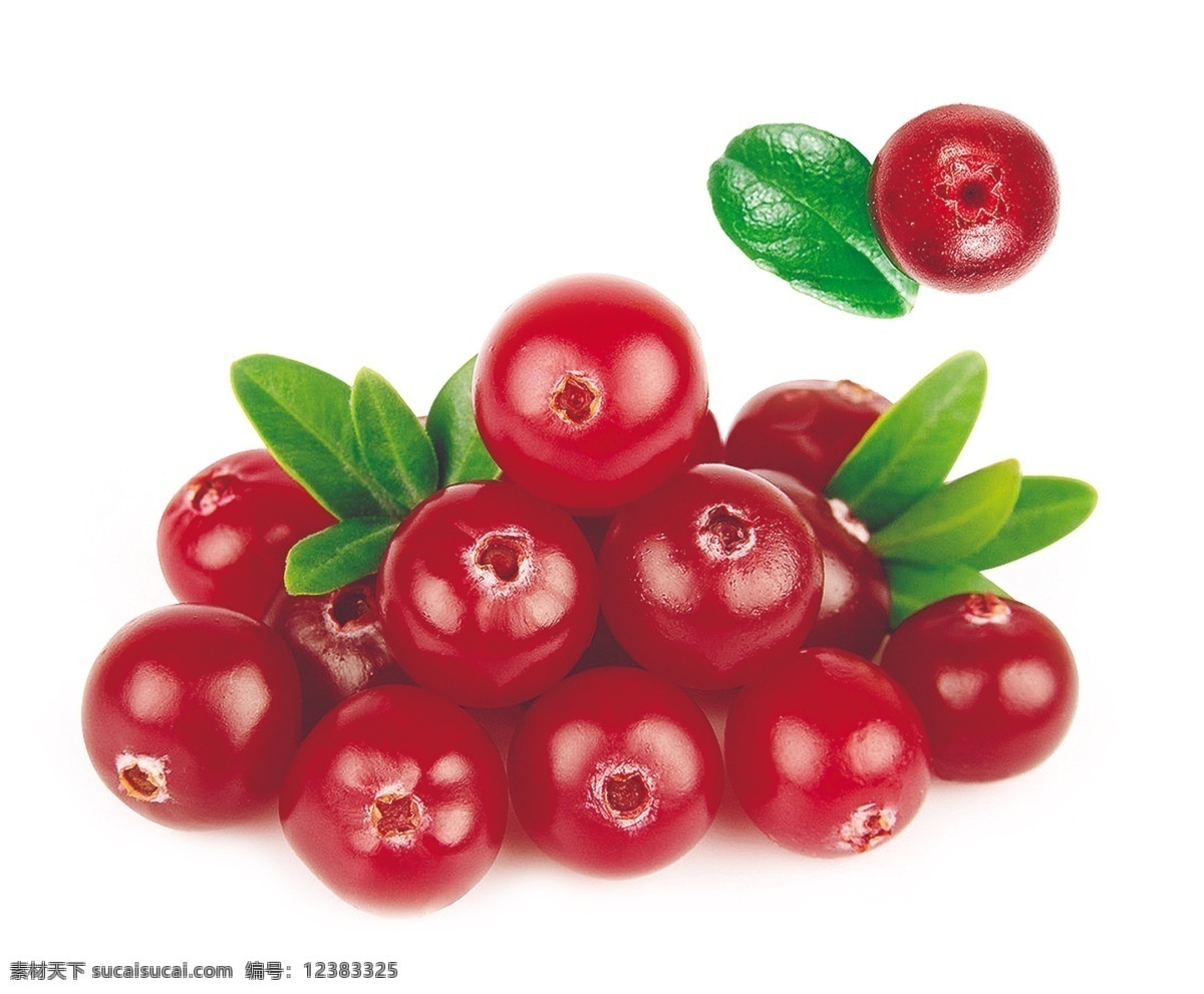蔓越莓 水果 红色水果 浆果 红色浆果 新鲜水果 包装设计