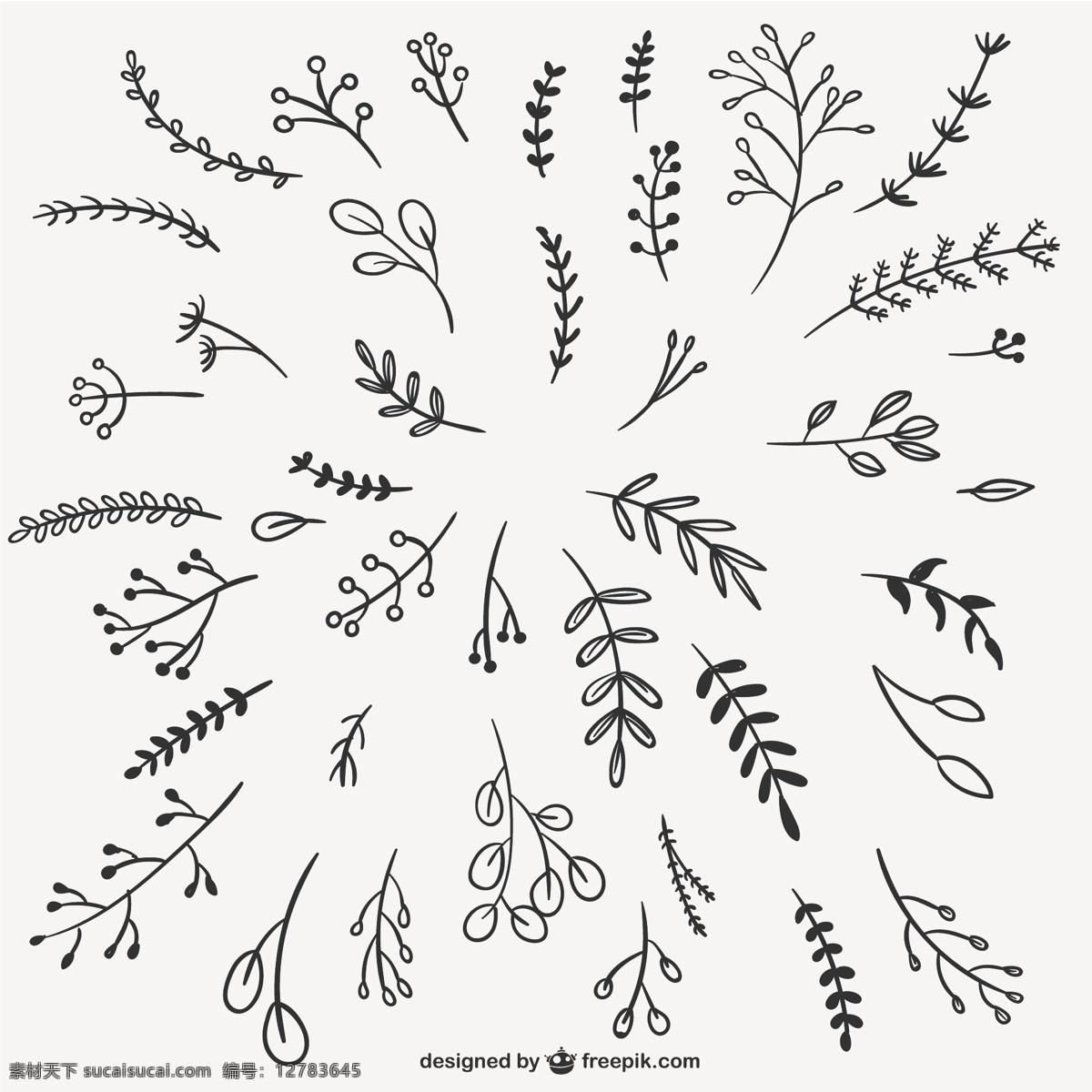 书法的枝叶 叶 饰品 分支 书法 轮廓 书法装饰 树枝和树叶 树叶的轮廓 白色