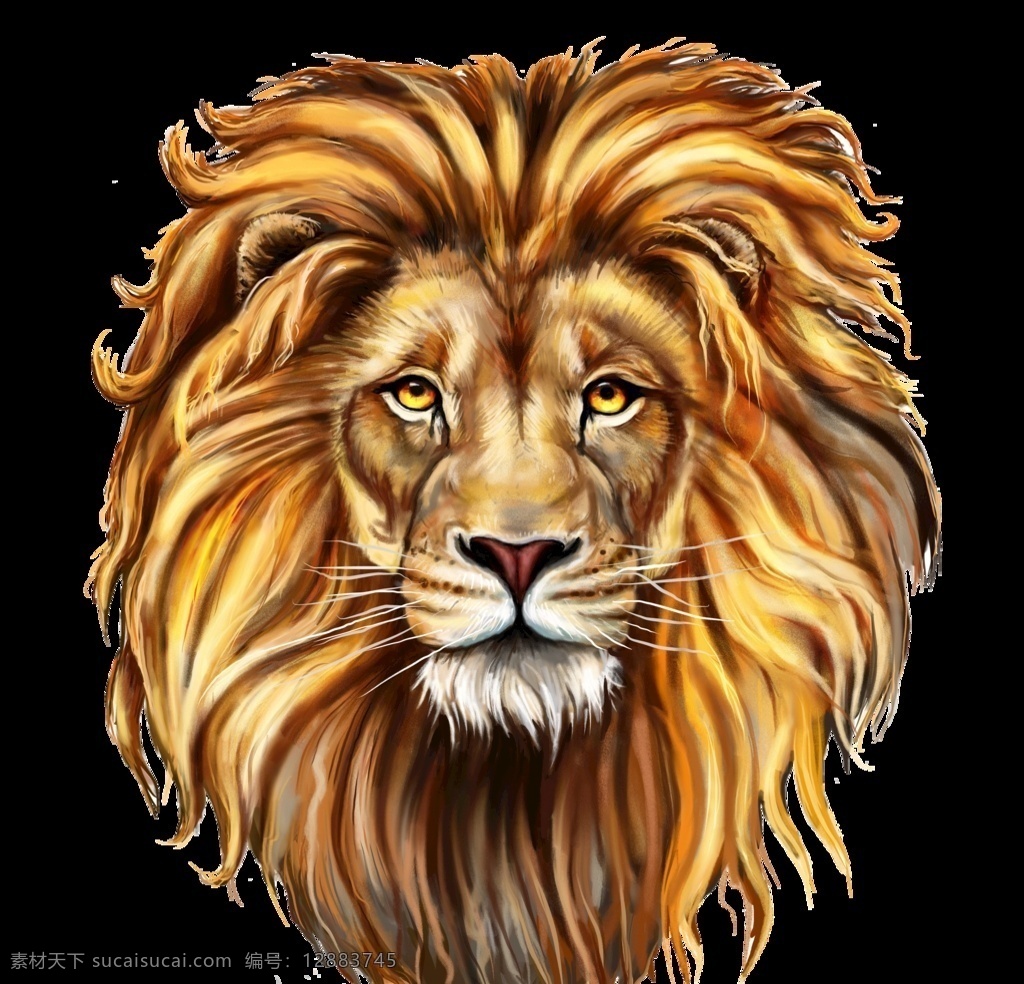 狮子 狮子头 插画图片 插画 彩色 商业 绚丽 狮子插画 包装设计
