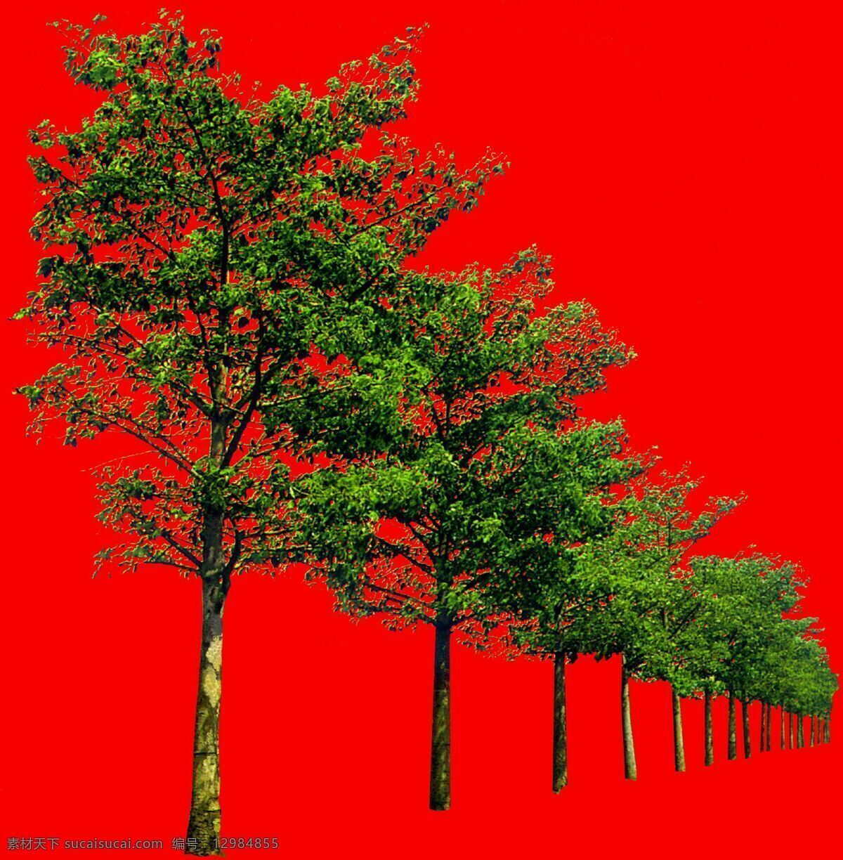 树丛 贴图素材 建筑装饰 设计素材 植物 红色